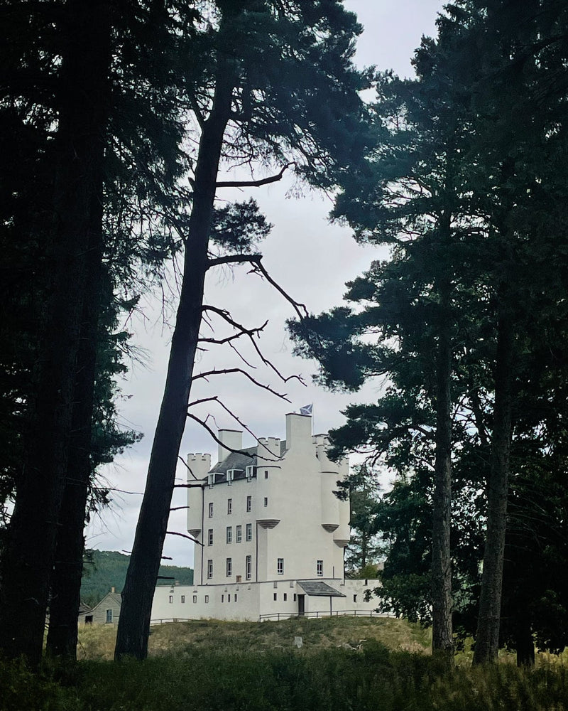 White castle-like building surrounded by tall trees on a cloudy day