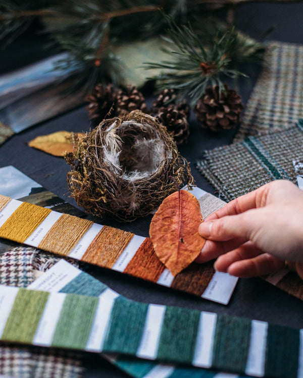Araminta Campbell Tartan and Tweed Design Gift Box
