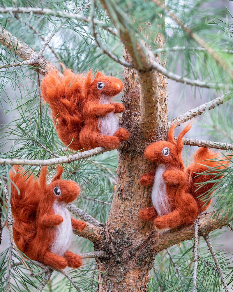The Fife Arms Needle-Felted Red Squirrel