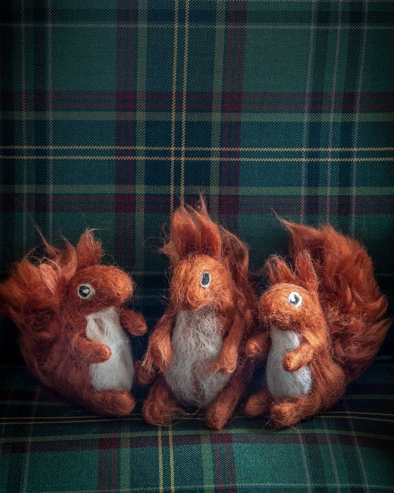 The Fife Arms Needle-Felted Red Squirrel