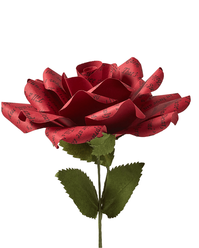 The Fife Arms Hand-Crafted Poetry Paper Rose | A Red, Red Rose