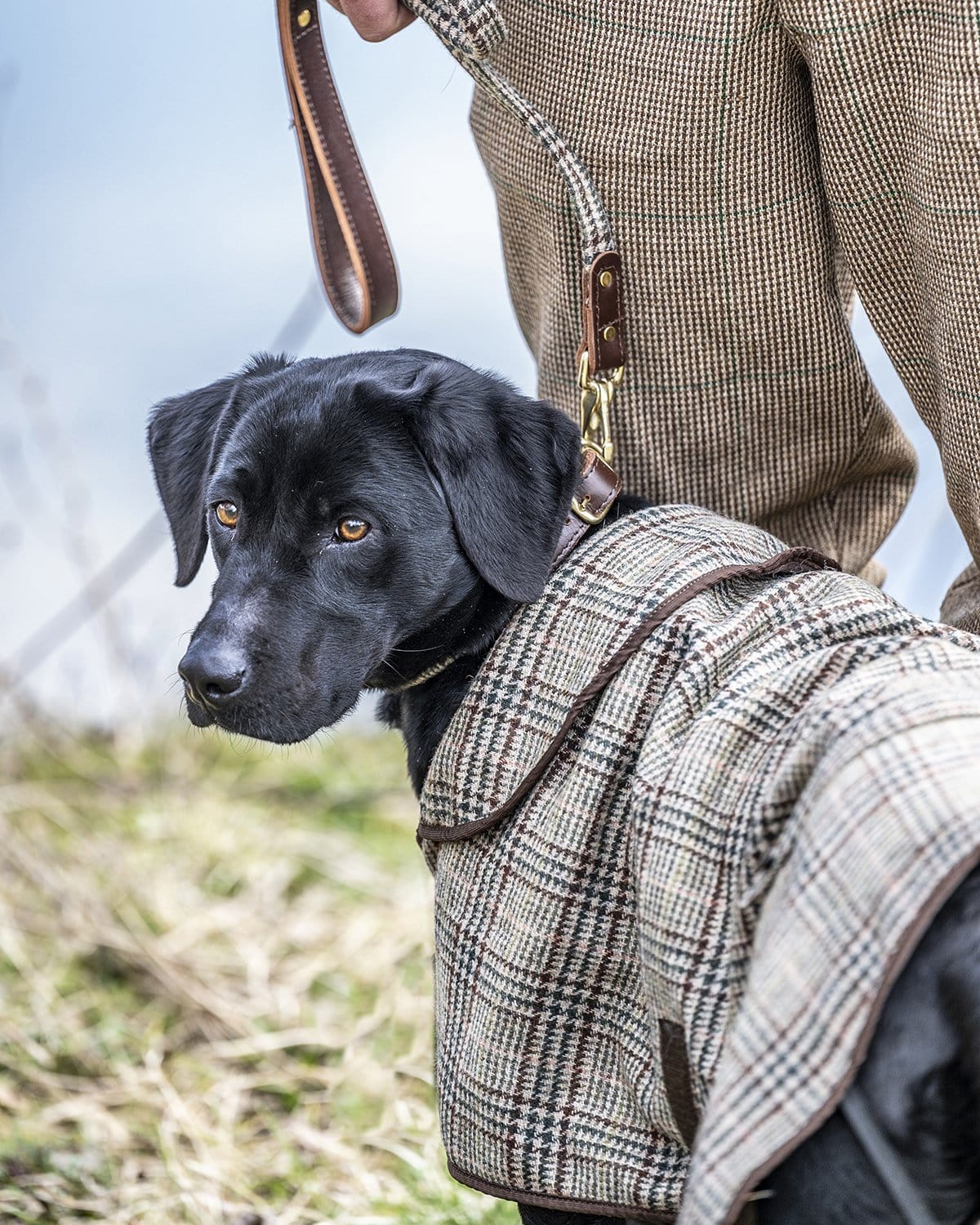 The Fife Arms Tweed Dog Coat The Fife Arms Shop