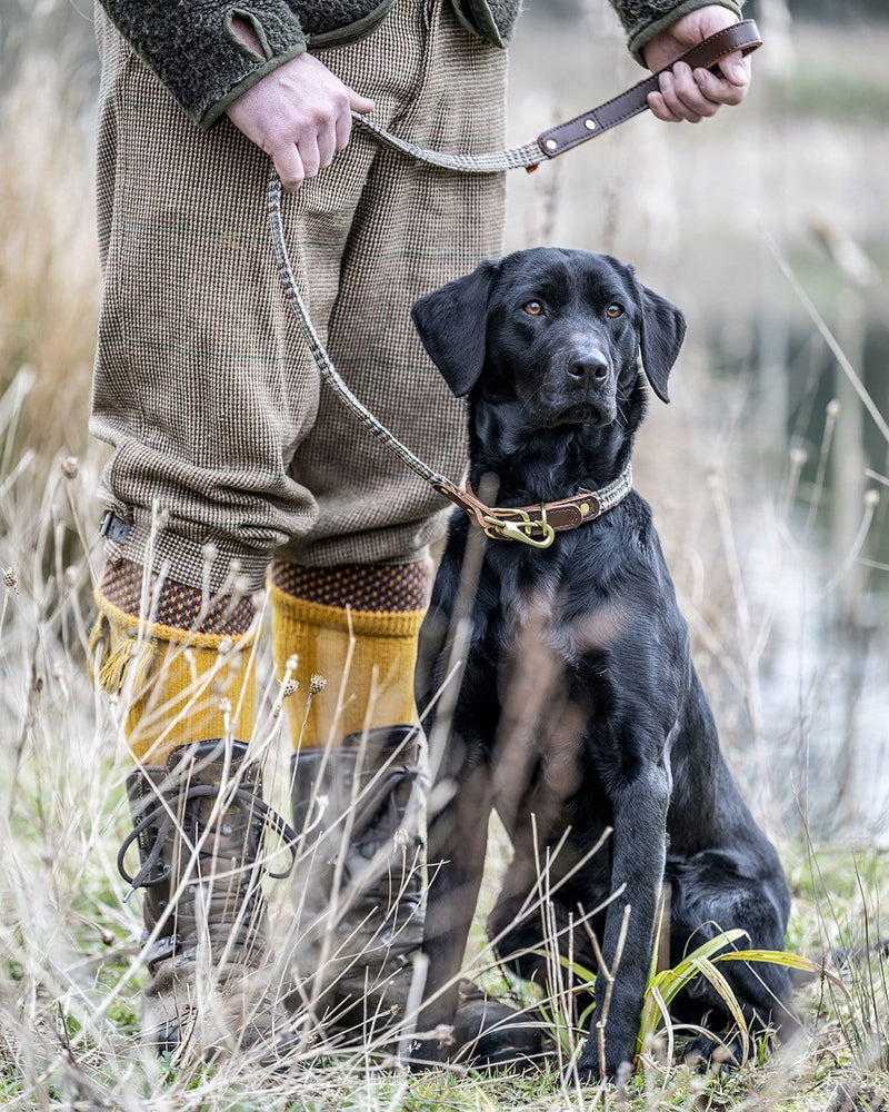The Fife Arms Tweed & Leather Dog Lead