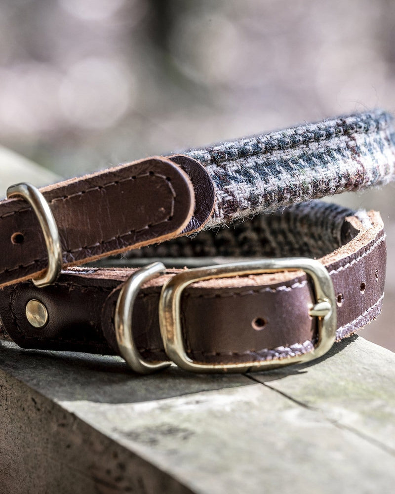 The Fife Arms Tweed & Leather Dog Collar